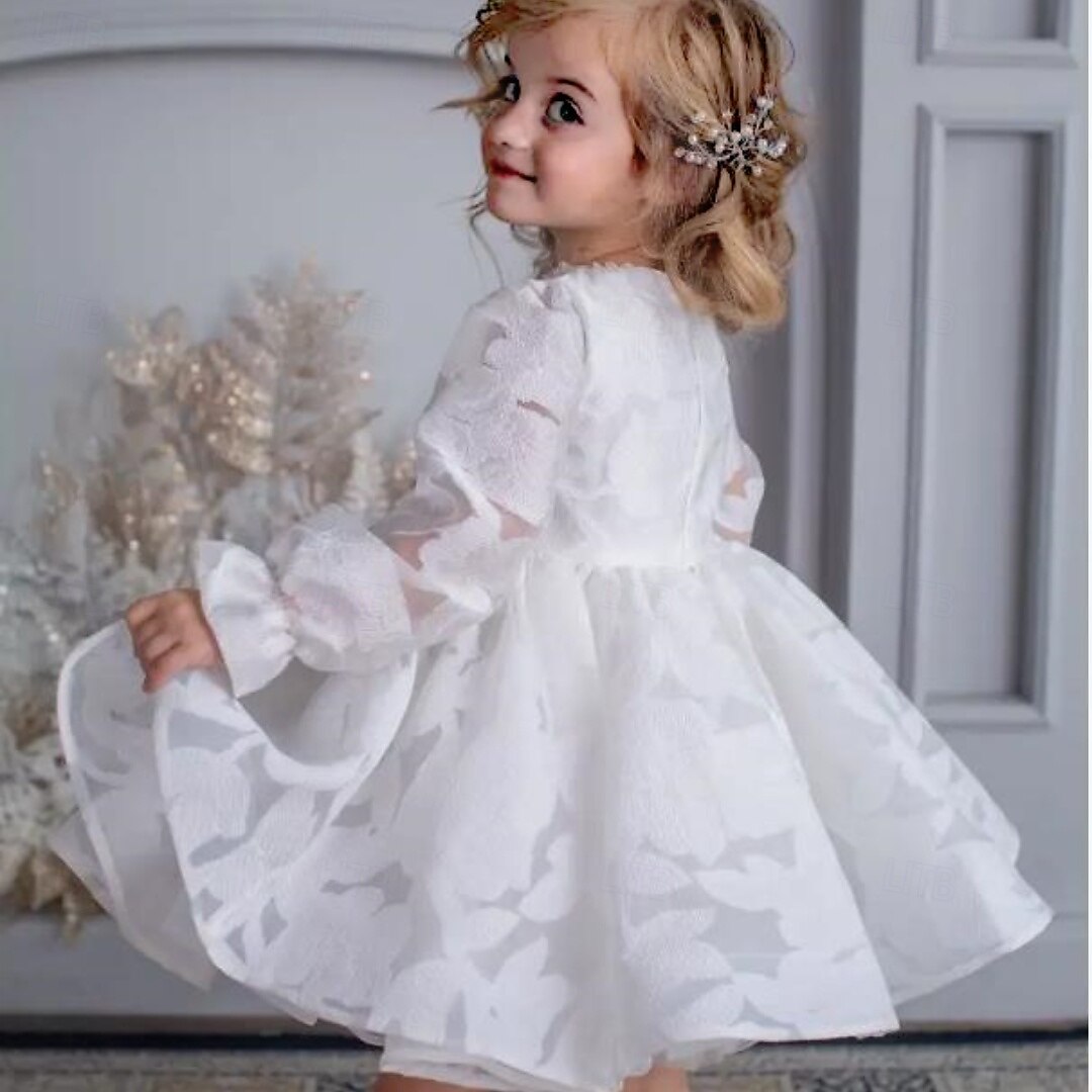 Infantil Para Meninas Vestido de daminha de honra Vestido de Primeira Comunhão Vestido de festa Côr Sólida Manga Longa Espetáculo Casamento Festa Com Transparência Princesa Doce Com Transparência de 2025 por $83.99 –P3