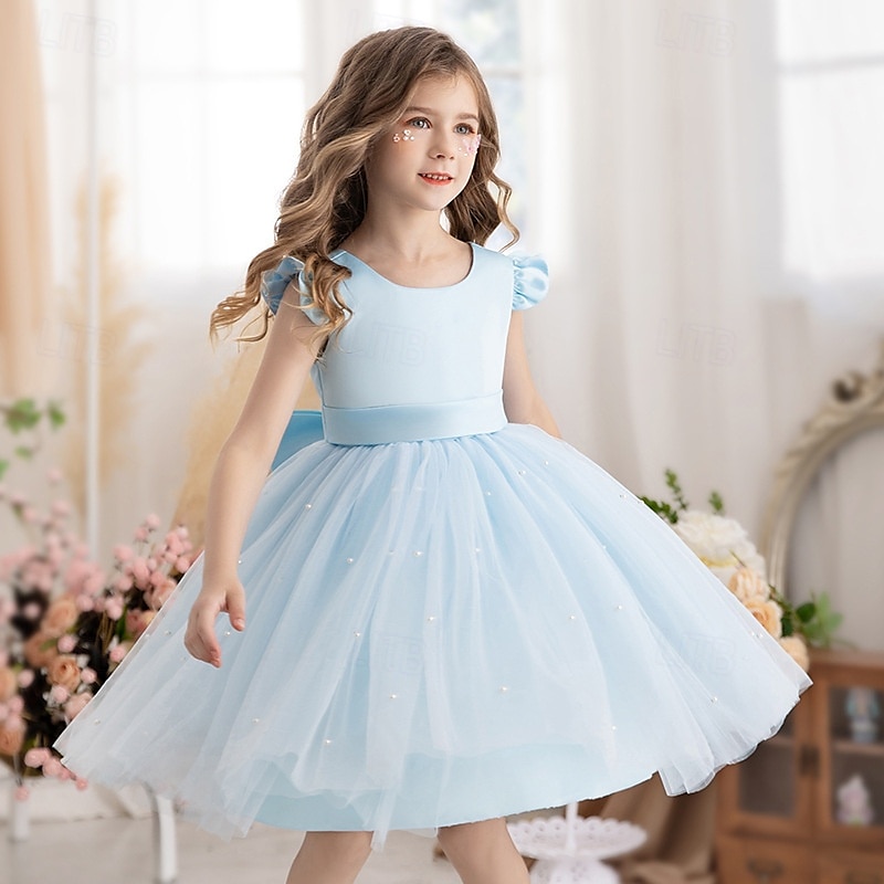 Bloemenmeisjesjurk kinderen Voor meisjes Prinses jurk Prestatie Bruiloft Feest Elegant Mooi Netstof Effen Kleur Mouwloos Strakke ronde hals Lichtgeel Licht Roze 4 jaar + 2025 - $30.99 –P2