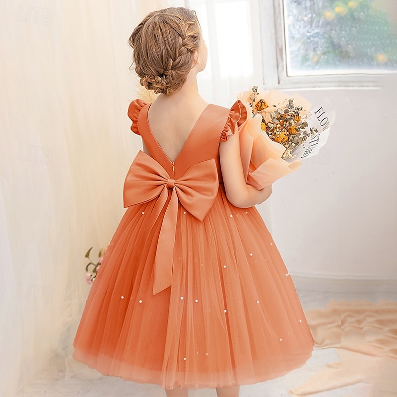 Bloemenmeisjesjurk kinderen Voor meisjes Prinses jurk Prestatie Bruiloft Feest Elegant Mooi Netstof Effen Kleur Mouwloos Strakke ronde hals Lichtgeel Licht Roze 4 jaar + 2025 - $30.99 –P14