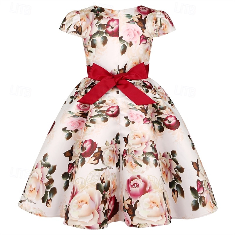 Enfants Fille Robe de fête Fleur Manche Courte Utilisation Anniversaire Noeud de cravate Magnifique Doux Coton Maxi robe soirée Robe Évasée Robe Trapèze Eté 4 ans et + Jaune Rose Claire Rouge de 2025 ? $32.99 –P12