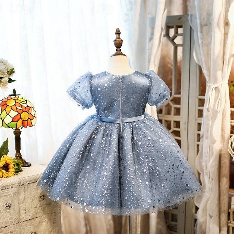 Batole Dívčí Šaty na párty Flitry Bez rukávů Výkon Síťka Roztomilý Princeznovské Polyester Nad kolena Plášťové šaty Tylové šaty Léto Jaro Podzim 3-7 let Stříbrná Dusty modrá 2025 - $54.99 –P3