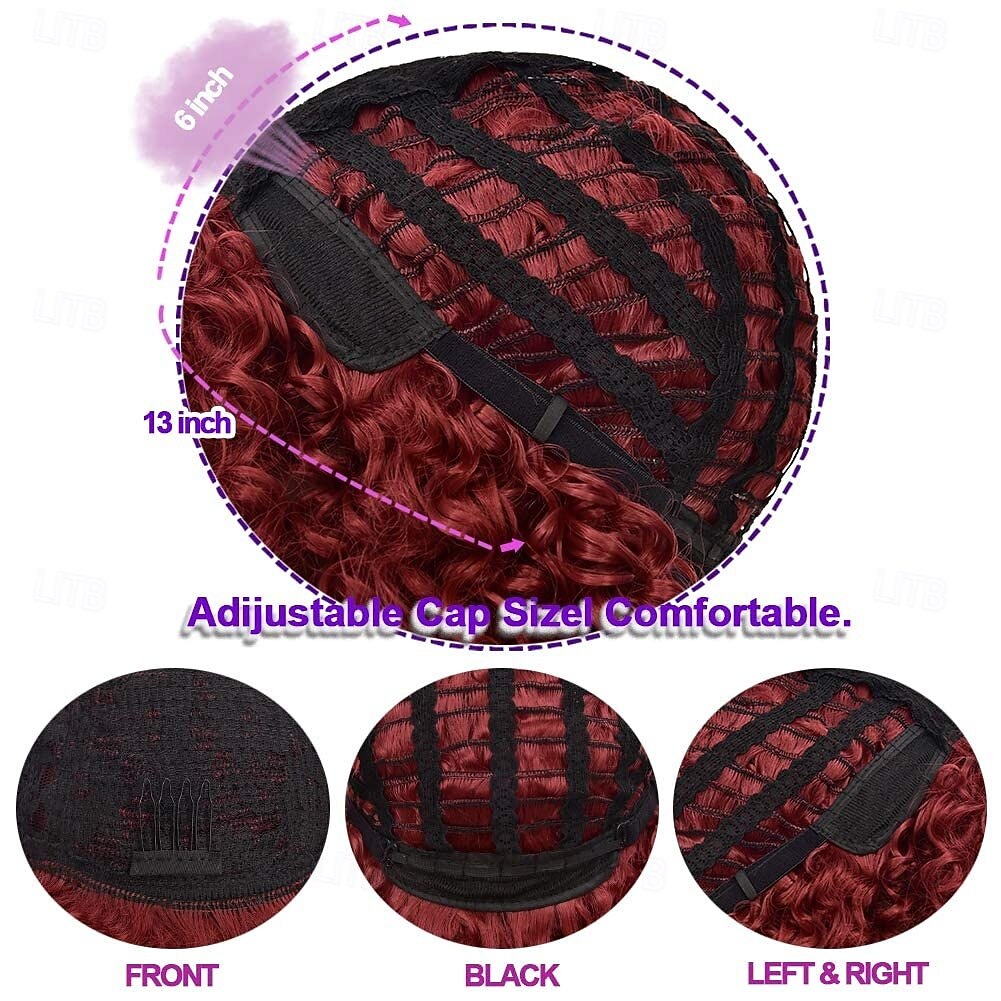 Afro Curly Wigs for Women - Kinky Afro Curly Wig with Bangs  Synthetic Cosplay Wigs 2026 - $18.49 –P10