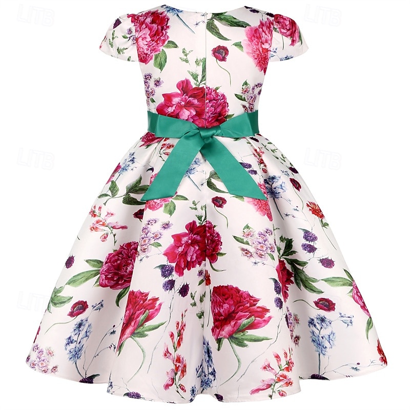 Enfants Fille Robe de fête Fleur Manche Courte Utilisation Anniversaire Noeud de cravate Magnifique Doux Coton Maxi robe soirée Robe Évasée Robe Trapèze Eté 4 ans et + Jaune Rose Claire Rouge de 2025 ? $32.99 –P10
