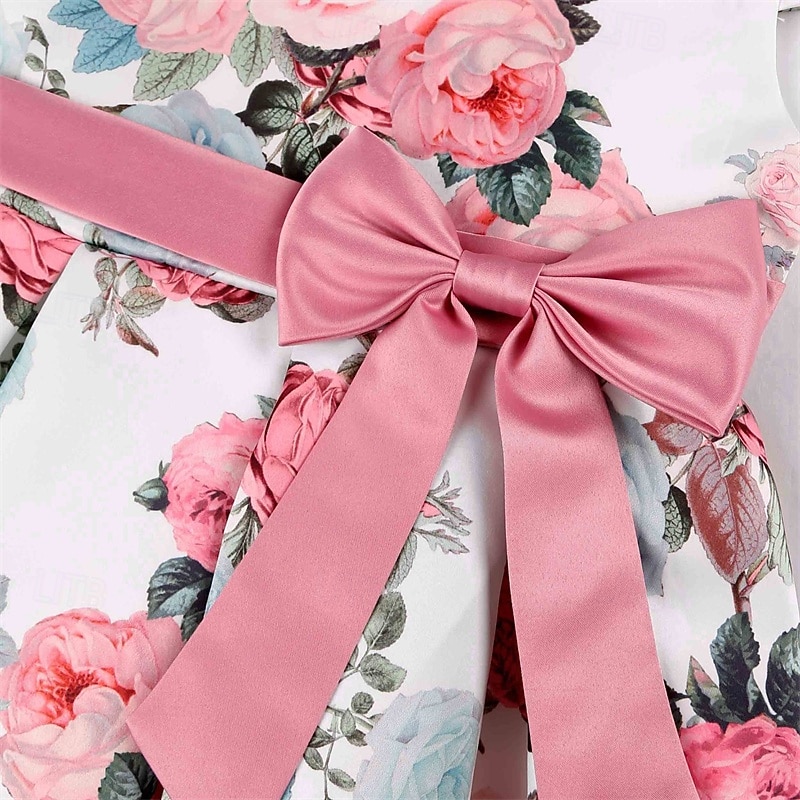 Enfants Fille Robe de fête Fleur Manche Courte Utilisation Anniversaire Noeud de cravate Magnifique Doux Coton Maxi robe soirée Robe Évasée Robe Trapèze Eté 4 ans et + Jaune Rose Claire Rouge de 2025 ? $32.99 –P17