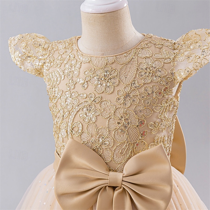 kinderkleidung Mädchen Blumenmädchen Kleid Party Kleid Farbblock Ärmellos Leistung Hochzeit Party Krawattenknoten Schön Süß Polyester Maxi abendkleider Schaukelkleid A Linie Kleid Sommer 4 Jahre + 2025 - $47.99 –P6