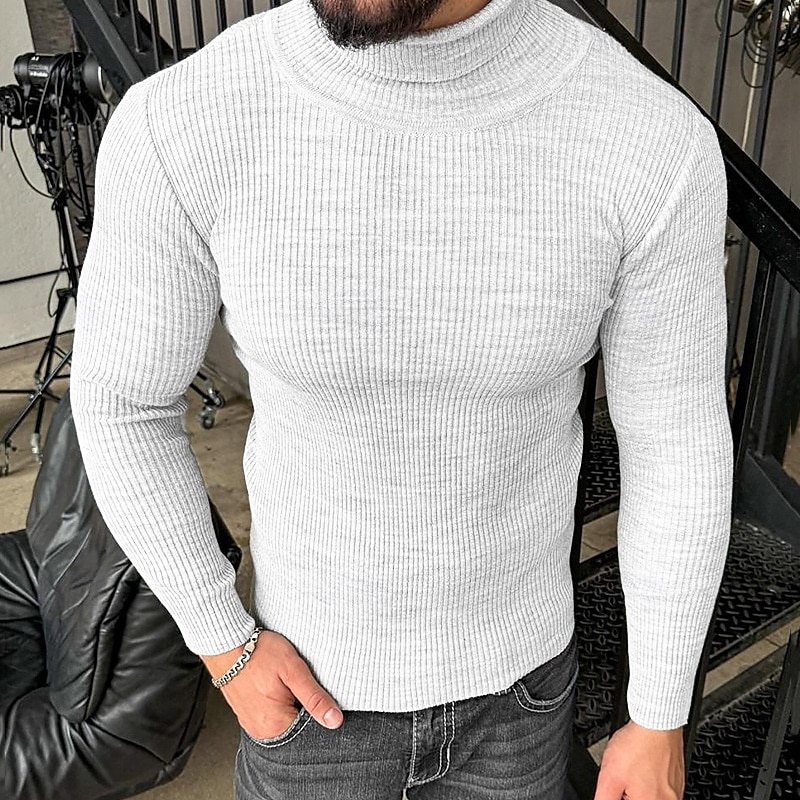 Bărbați Pulover cu gât rotic Pulover Pulover pulover Striat Tricotat Topuri obișnuite Tricotat Croi Slim Simplu Guler Pe Gât Contemporan modern Muncă Purtare Zilnică Îmbrăcăminte Iarnă Primăvara 2025 - $26.99 –P4