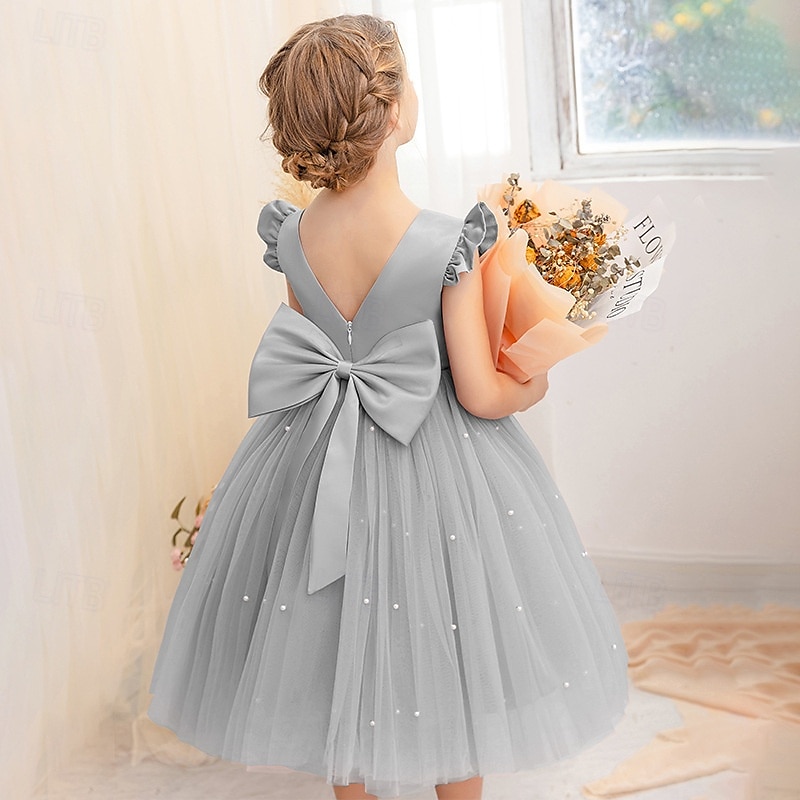 Bloemenmeisjesjurk kinderen Voor meisjes Prinses jurk Prestatie Bruiloft Feest Elegant Mooi Netstof Effen Kleur Mouwloos Strakke ronde hals Lichtgeel Licht Roze 4 jaar + 2025 - $30.99 –P15