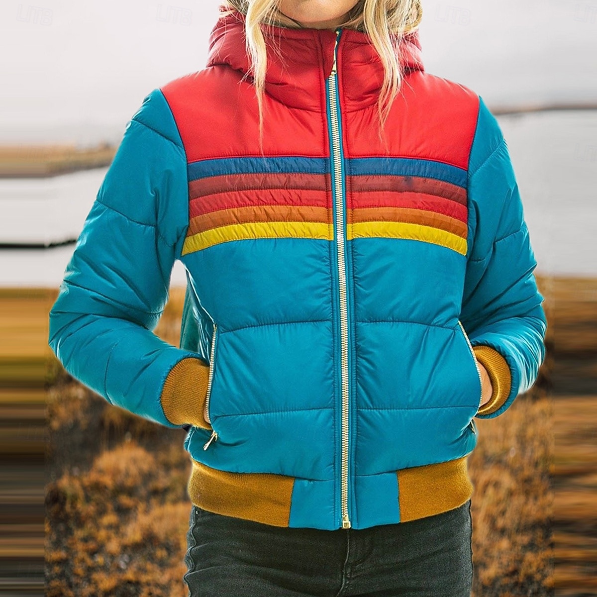 Per donna Parka Esterno Strada Giornaliero Autunno Inverno Standard Cappotto Standard Antivento Tenere al caldo Contemporaneo Moda Informale Giacca Manica lunga Color Block Strisce Con tasche Zip del 2025 a $41.39 –P1