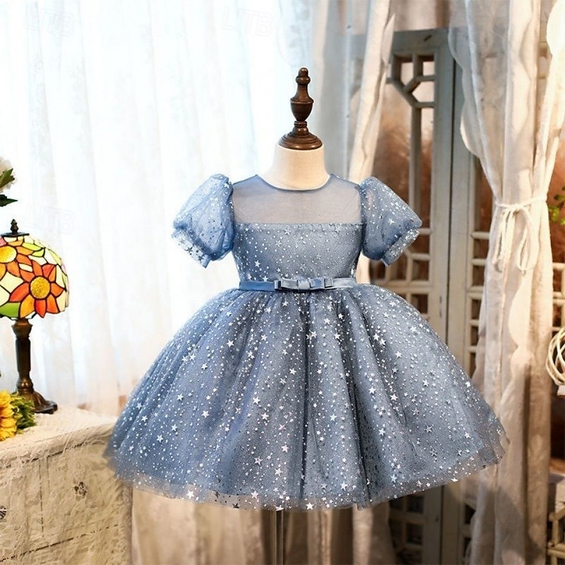 Batole Dívčí Šaty na párty Flitry Bez rukávů Výkon Síťka Roztomilý Princeznovské Polyester Nad kolena Plášťové šaty Tylové šaty Léto Jaro Podzim 3-7 let Stříbrná Dusty modrá 2025 - $54.99 –P2