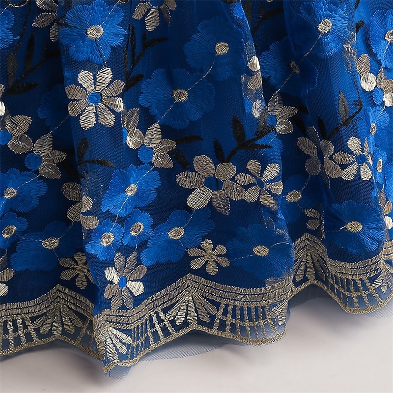 Děti Dívčí Šaty na párty Květinový Bez rukávů Výkon Narozeniny Síťka Kravatový uzel Krásná Sladký Polyester Maxi Šaty na párty Swingové šaty Áčkové šaty Léto 4 roky + Šampaňská Vodní modrá Trávov 2025 - $44.99 –P5