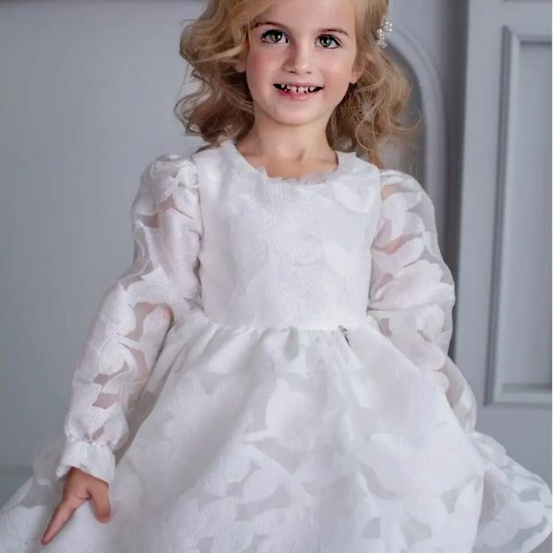 Infantil Para Meninas Vestido de daminha de honra Vestido de Primeira Comunhão Vestido de festa Côr Sólida Manga Longa Espetáculo Casamento Festa Com Transparência Princesa Doce Com Transparência de 2025 por $83.99 –P4
