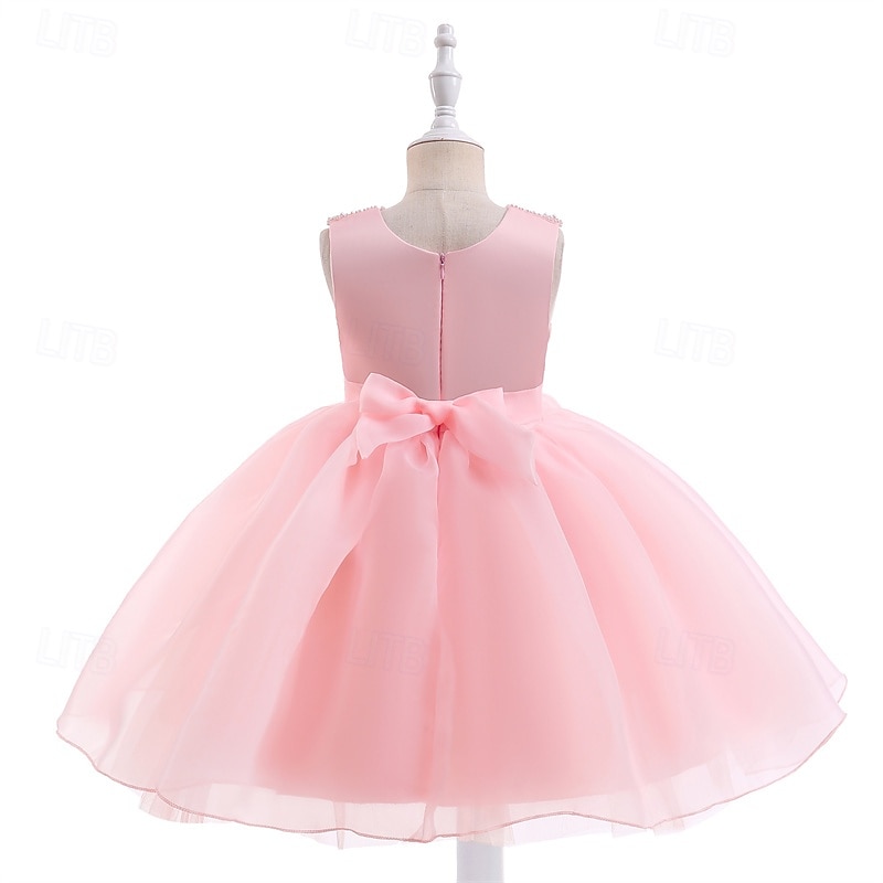 Robe de Demoiselle d'Honneur Fille enfants Fille Robe de princesse Utilisation Mariage Soirée Elégant Magnifique Maille Couleur unie Sans Manches Col Ras du Cou Blanche Champagne 4 ans et + de 2025 ? $38.99 –P17