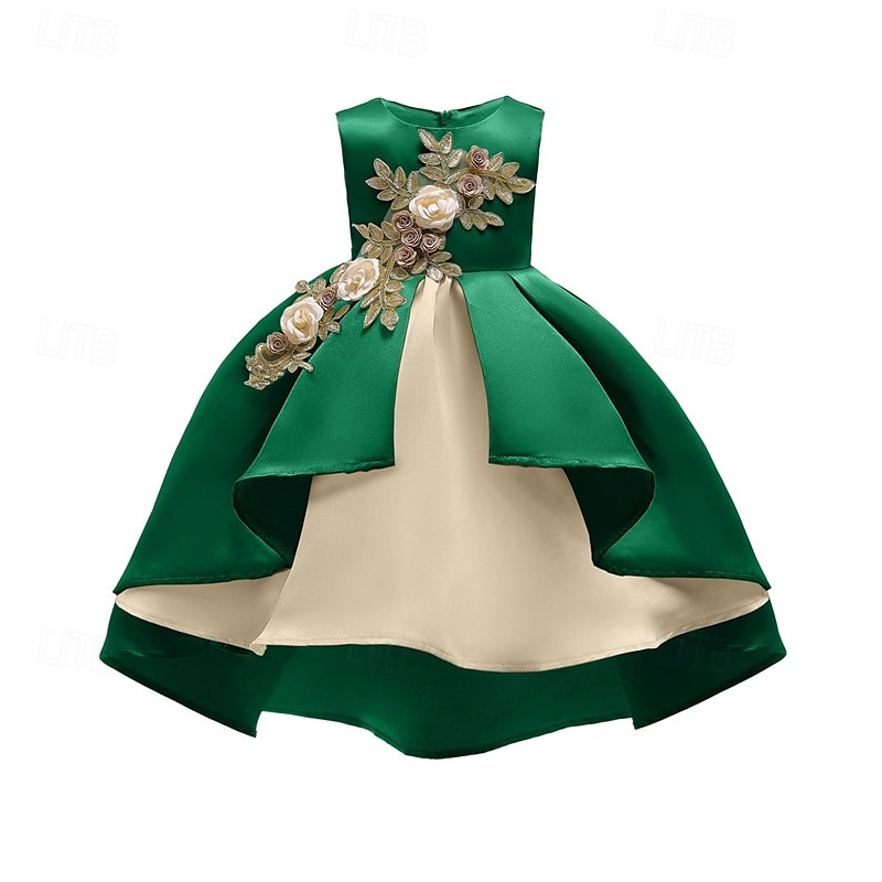 kinderkleidung Mädchen Party Kleid Blume Ärmellos Leistung Geburtstag Schön Süß Polyester Asymmetrisch abendkleider Schaukelkleid A Linie Kleid Sommer 4 Jahre + Champagner Rosa Wein 2025 - $28.99 –P9