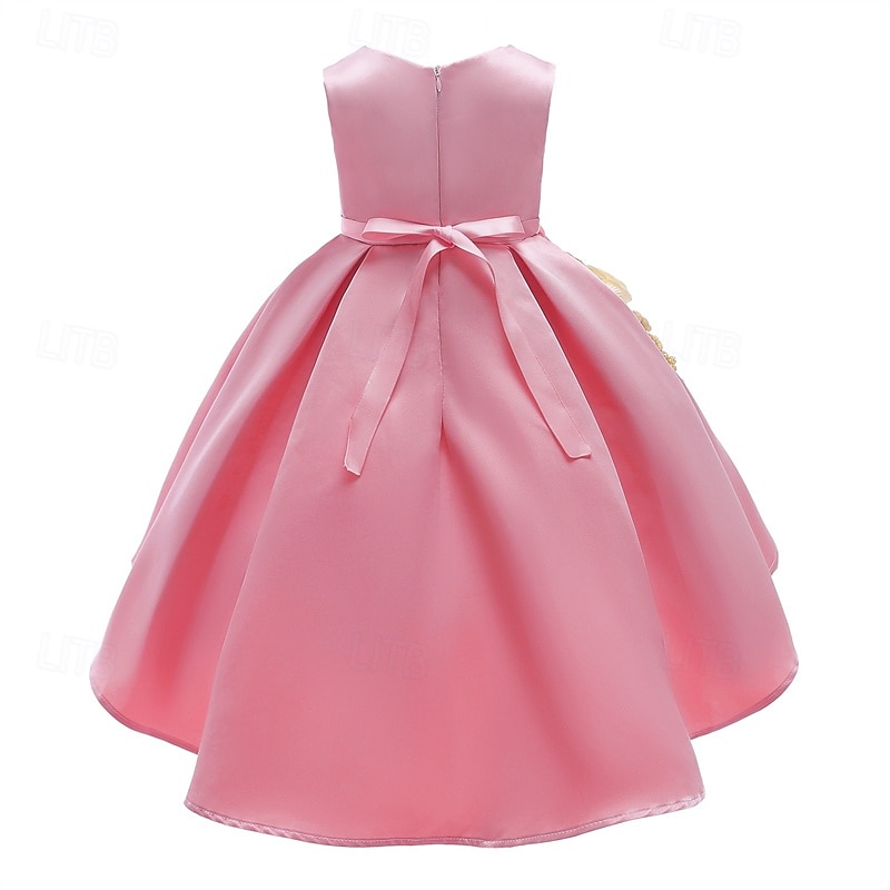 kinderkleidung Mädchen Party Kleid Blume Ärmellos Leistung Geburtstag Schön Süß Polyester Asymmetrisch abendkleider Schaukelkleid A Linie Kleid Sommer 4 Jahre + Champagner Rosa Wein 2025 - $28.99 –P6