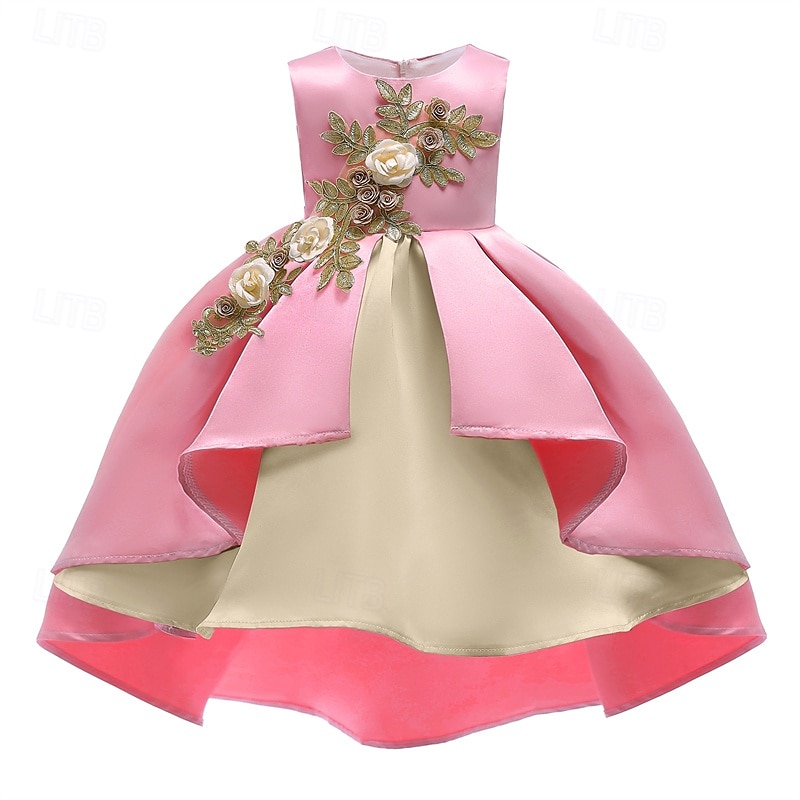 kinderkleidung Mädchen Party Kleid Blume Ärmellos Leistung Geburtstag Schön Süß Polyester Asymmetrisch abendkleider Schaukelkleid A Linie Kleid Sommer 4 Jahre + Champagner Rosa Wein 2025 - $28.99 –P5