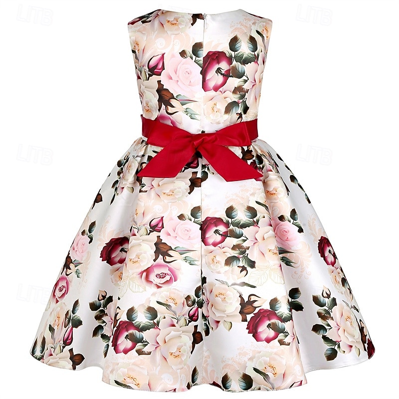 kinderkleidung Mädchen Party Kleid Blumen Ärmellos Leistung Geburtstag Krawattenknoten Schön Süß Baumwolle Knielang abendkleider Schaukelkleid A Linie Kleid Sommer 4 Jahre + Rosa Rote Rosenrot 2026 - $29.99 –P14