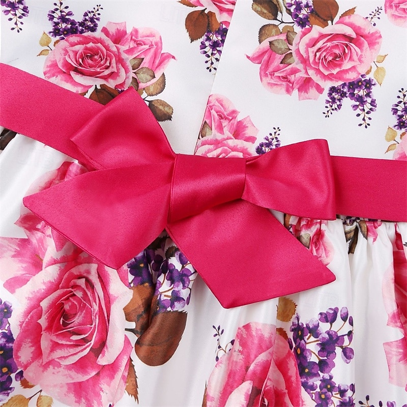 kinderkleidung Mädchen Party Kleid Blumen Ärmellos Leistung Geburtstag Krawattenknoten Schön Süß Baumwolle Knielang abendkleider Schaukelkleid A Linie Kleid Sommer 4 Jahre + Rosa Rote Rosenrot 2026 - $29.99 –P4