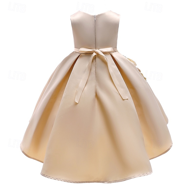 kinderkleidung Mädchen Party Kleid Blume Ärmellos Leistung Geburtstag Schön Süß Polyester Asymmetrisch abendkleider Schaukelkleid A Linie Kleid Sommer 4 Jahre + Champagner Rosa Wein 2025 - $28.99 –P8