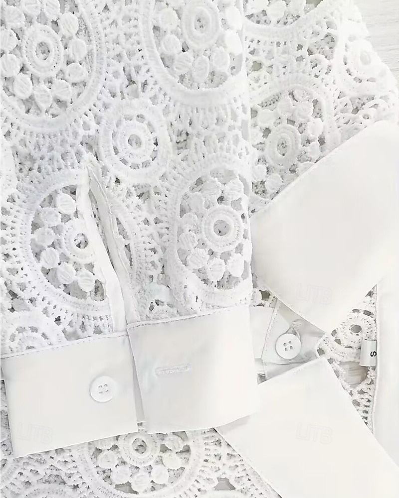 Women's Blouse Eyelet top Lace Tops Plain Daily Stylish Basic Long Sleeve Shirt Collar Regular Tops Work Daily Holiday Hollow Out Buttons White Spring Fall 2025 - $22.99 –P3