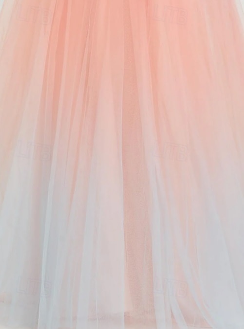 Pink Ball Gown A-Line Prom Dresses Elegant Dress Formal Wedding Floor Length Sleeveless V Neck Tulle with Shouder Flower 2025 2025 - $170.99 –P4