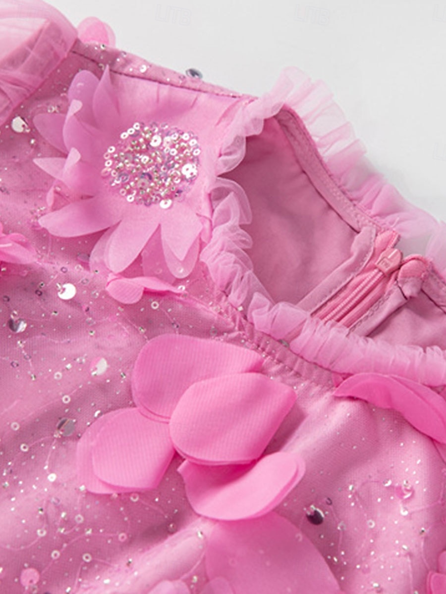 Šaty do A quinceanera růžové šaty květy svatební svatební host maxidélka dlouhý rukáv s kulatým výstřihem s volány 2025 - $169.99 –P5