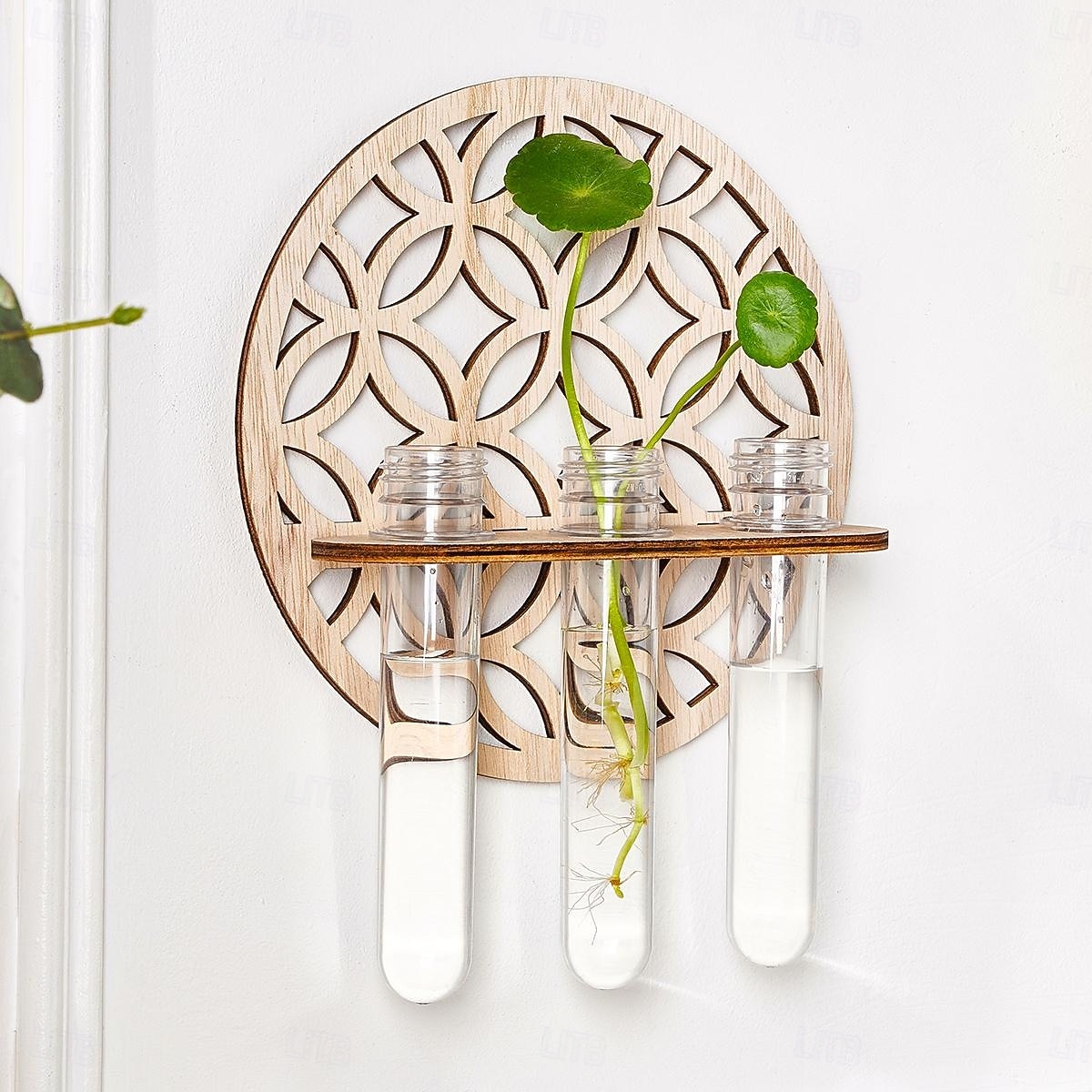 1 supporto idroponico in legno per interni, vaso per la propagazione delle piante, provetta in plastica da parete con supporto in legno, adatto per la decorazione di piante domestiche, talee del 2025 a $12.49 –P9