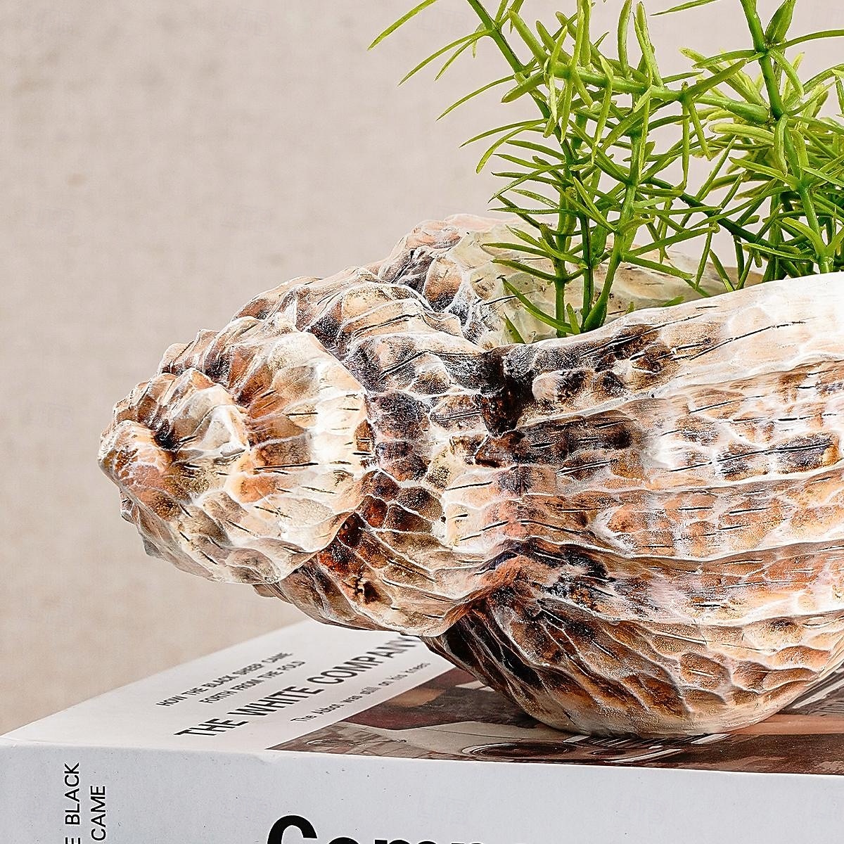 Seashell Shaped Resin Vase, 9.8-Inch Bohemian Tabletop Flower Vase, Indoor Decorative Hydroponic Planter for Home Decor and Gifts 2025 - $14.49 –P9