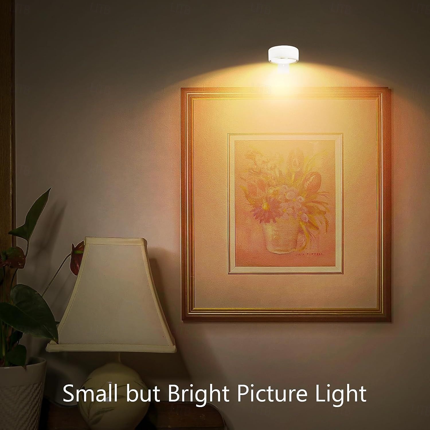 LED Wireless Picture Light, 20 RGB Color Magnetic Lights, Adjustable Timer Led Picture Frame Art Display Light, Wireless Gallery Display Wall Photo Light 2025 - $23.99 –P1