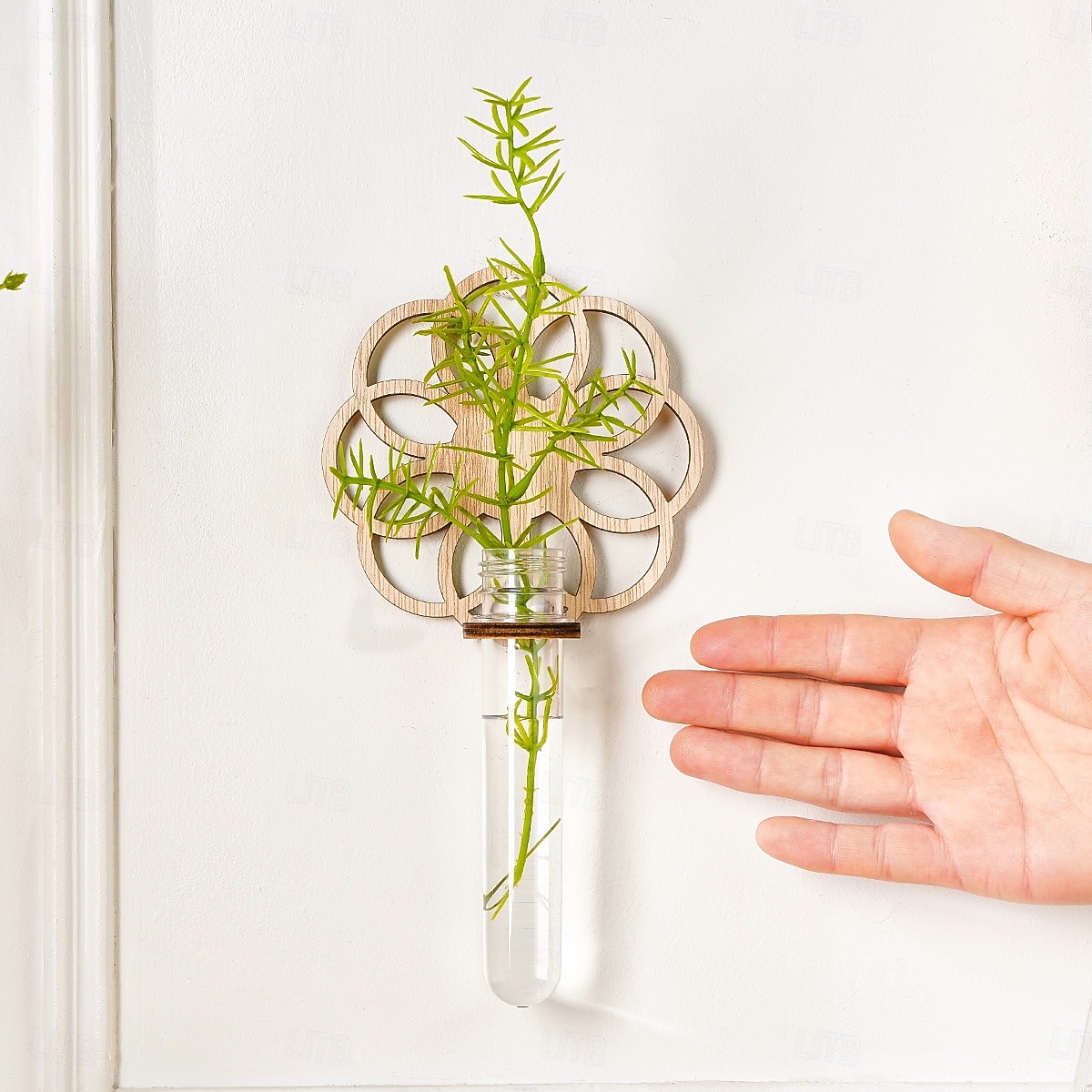 1 supporto idroponico in legno per interni, vaso per la propagazione delle piante, provetta in plastica da parete con supporto in legno, adatto per la decorazione di piante domestiche, talee del 2025 a $12.49 –P12