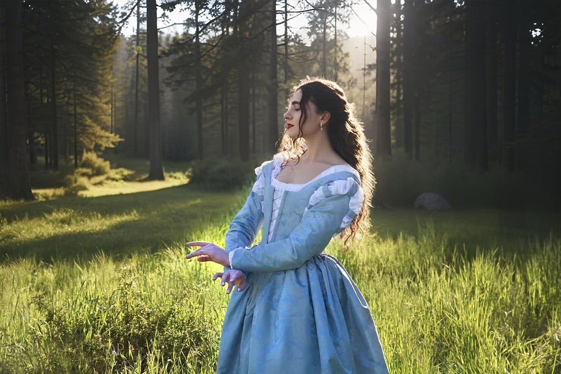 Retro Středověké Renesanční Šaty Plesové šaty Princeznovské Elfí Dámské Keltské Fantazie Královský předvečer Všech svatých Karneval Výkon Párty LARP Dospělé Šaty 2025 - $132.99 –P7