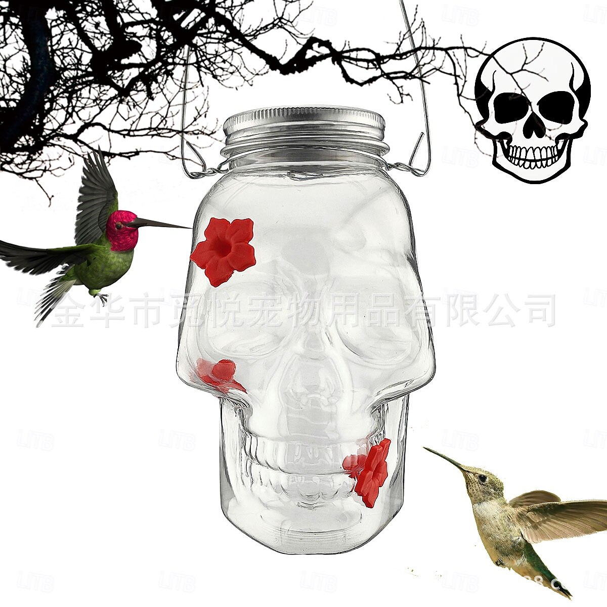 Hummingbird Feeder for Outdoors Hanging, Skull Shaped Humming Bird Feeder with 4 Feeding Ports, Halloween Gothic Bird Feeder Garden Backyard Decorative, Clear 2025 - $13.99 –P2