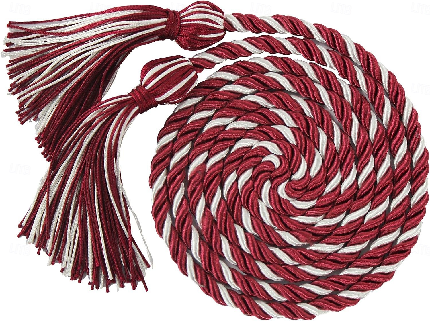 Lot de 10 cordons d'honneur de remise de diplôme de 67 pouces, cordons d'honneur à pompon de remise de diplôme, cordons d'honneur en vrac pour étudiants diplômés de 2025 ? $20.99 –P17