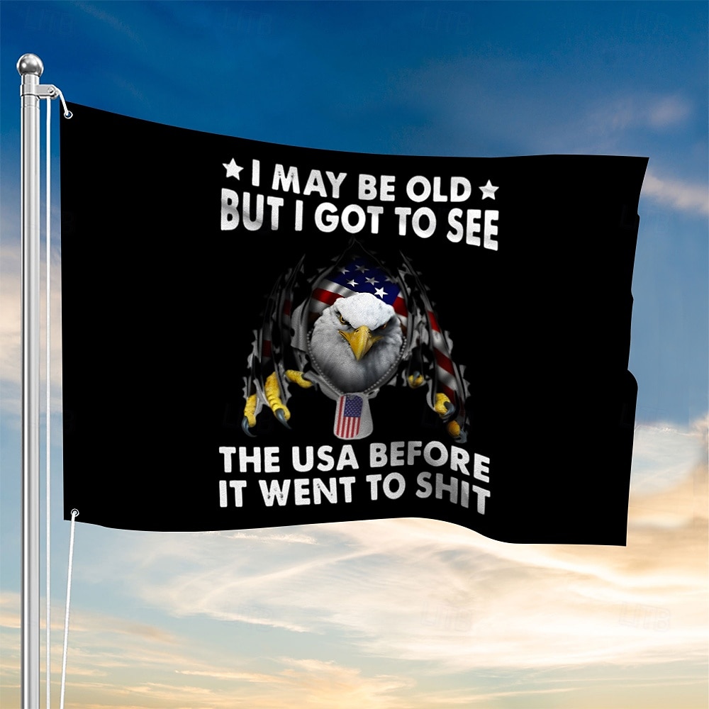 Decoruri interioare/exterioare cu gauri de ziua independenței de 4 iulie steag patriotic decorațiuni pentru curtea casei americane banner de vacanță 2025 - $10.49 –P1