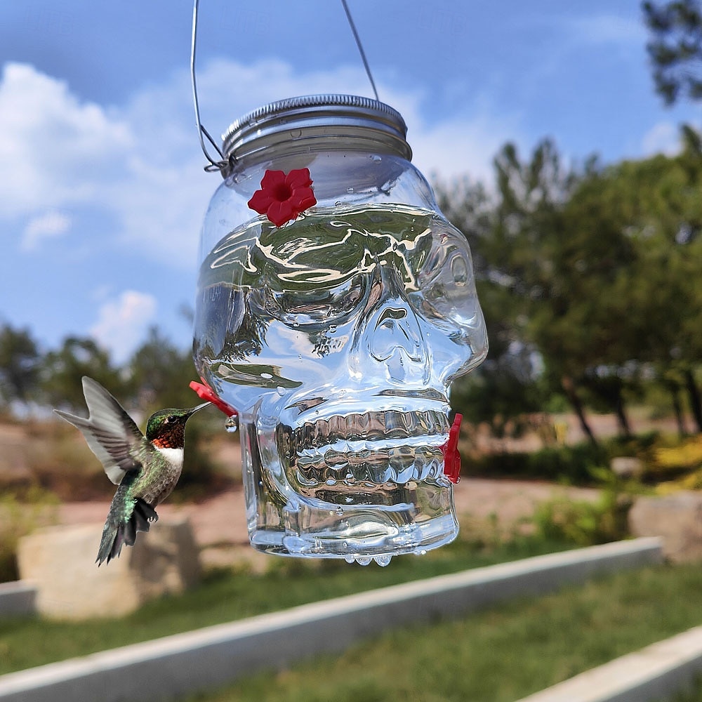 Hummingbird Feeder for Outdoors Hanging, Skull Shaped Humming Bird Feeder with 4 Feeding Ports, Halloween Gothic Bird Feeder Garden Backyard Decorative, Clear 2025 - $13.99 –P3