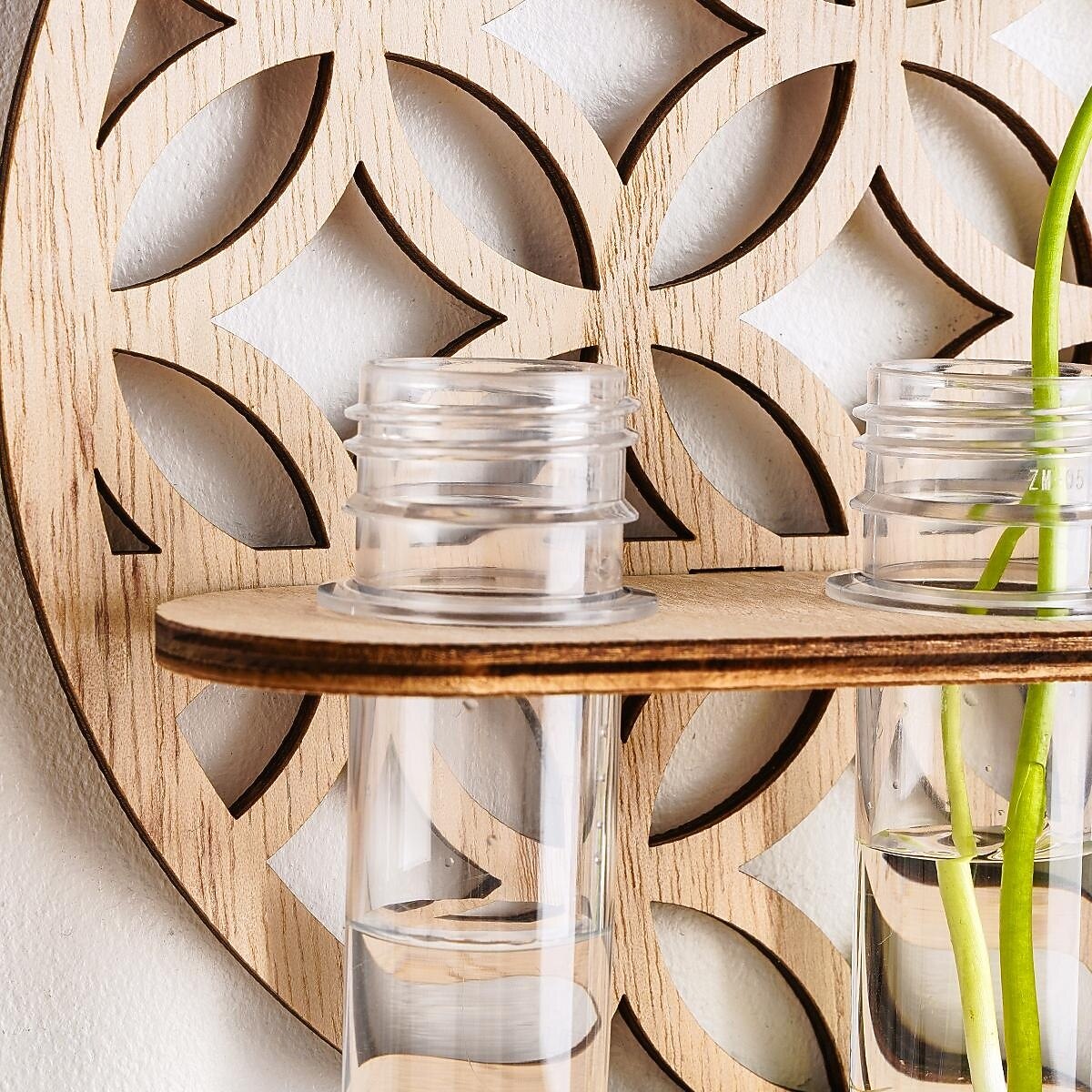 stazione di propagazione delle piante a parete – supporto in legno con provette in plastica per talee di piante idroponiche da interno, arredamento per la casa e l'ufficio, regalo unico per gli del 2025 a $11.49 –P17