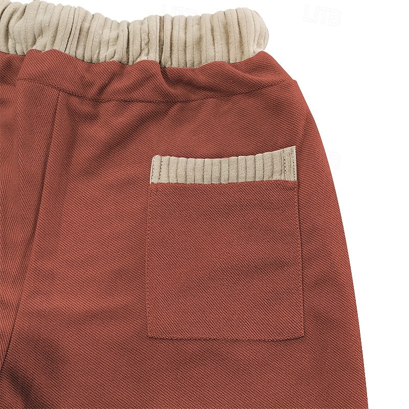 Herr Atletiska shorts Svett shorts Shorts Sommarshorts Ficka Snörning Elastisk midja Färgblock Komfort Andningsfunktion Kort Utomhus Sport Klassisk Ledigt Svart Blå 2025 - $20.99 –P10