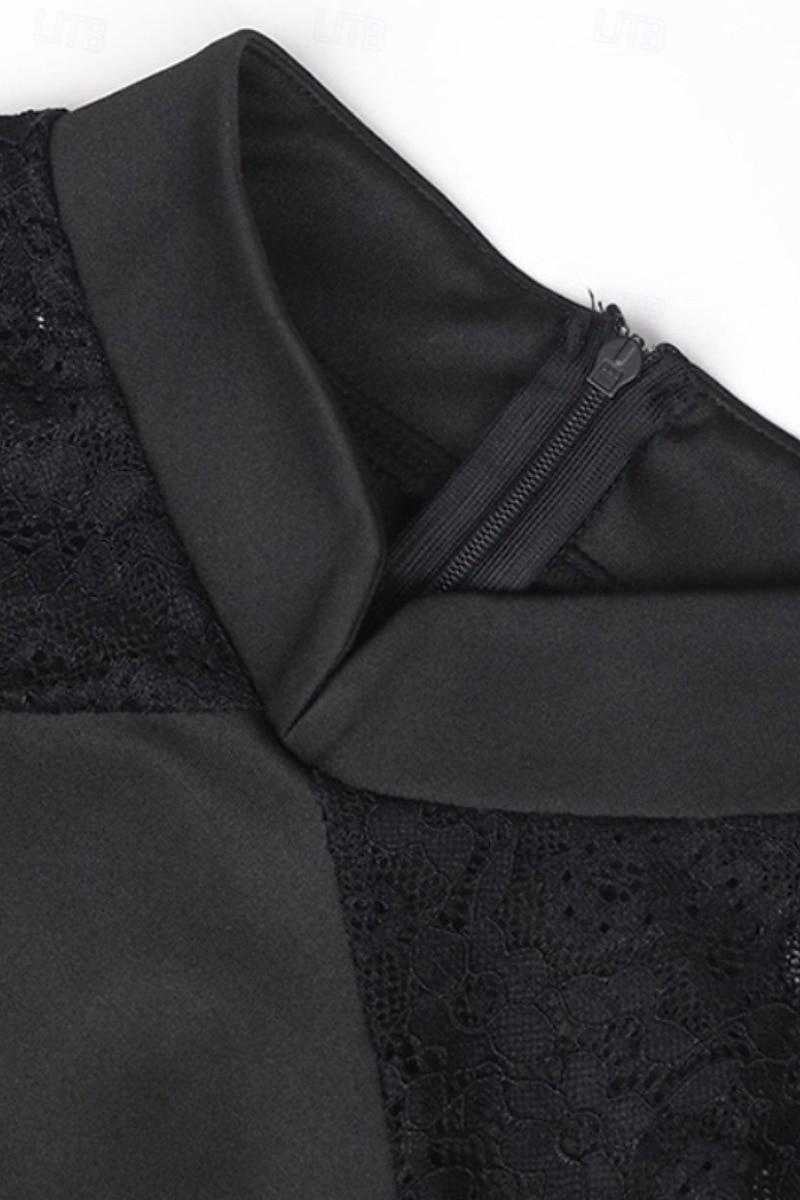 Pentru femei Rochie Mini Rochie Cheongsam Modă Vacanță Ieșire Sfârșit de săptămână Fit regulat Simplu Fără manșon Guler de stand Negru Vară 2025 - $24.99 –P6