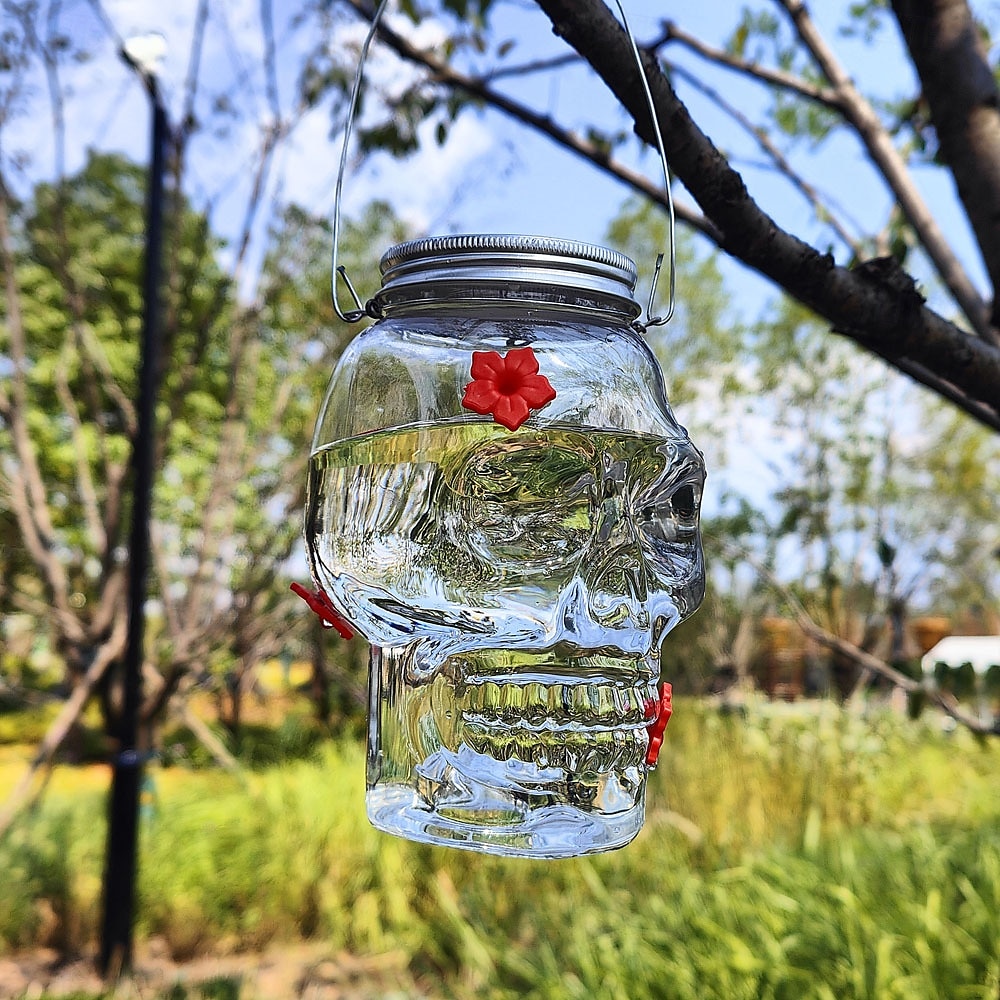 Hummingbird Feeder for Outdoors Hanging, Skull Shaped Humming Bird Feeder with 4 Feeding Ports, Halloween Gothic Bird Feeder Garden Backyard Decorative, Clear 2025 - $13.99 –P9