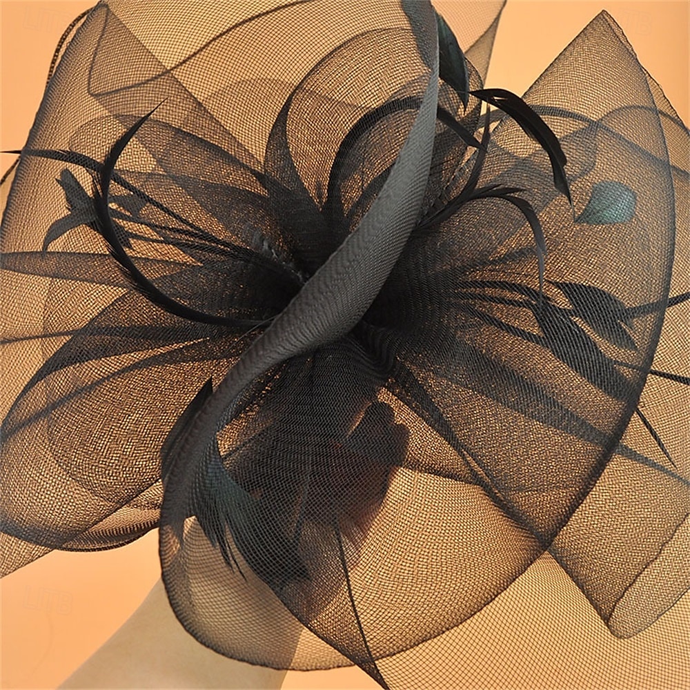 Coiffe Tulle Chapeau Fedora Mariage Anniversaire Soirée Fête du thé Course de Chevaux Élégant ancien Mignon Avec Plume Casque Couvre-chef de 2025 ? $19.99 –P8