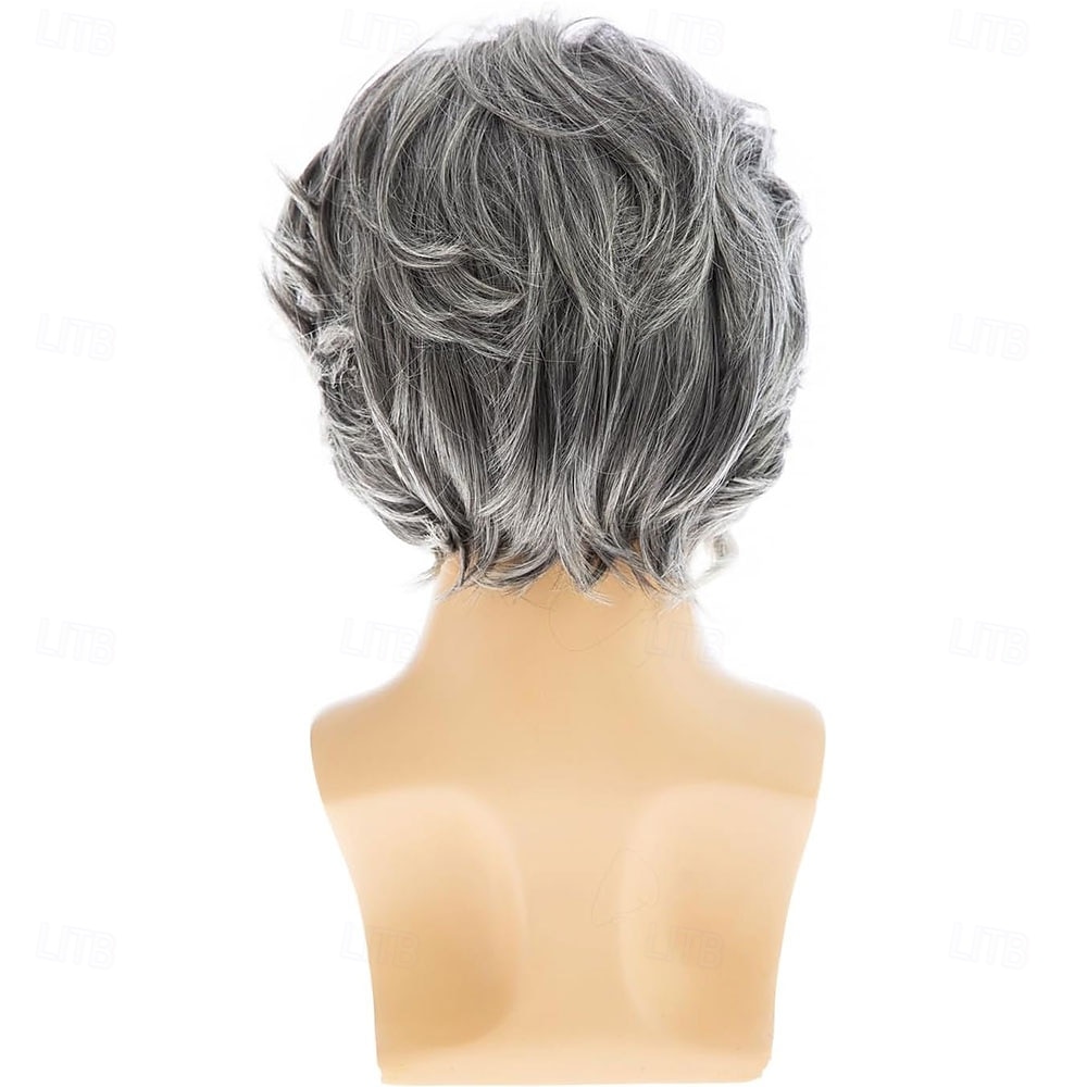 parrucca da uomo corta grigia a strati sintetica per costume cosplay di Halloween per uomo del 2026 a $25.99 –P5