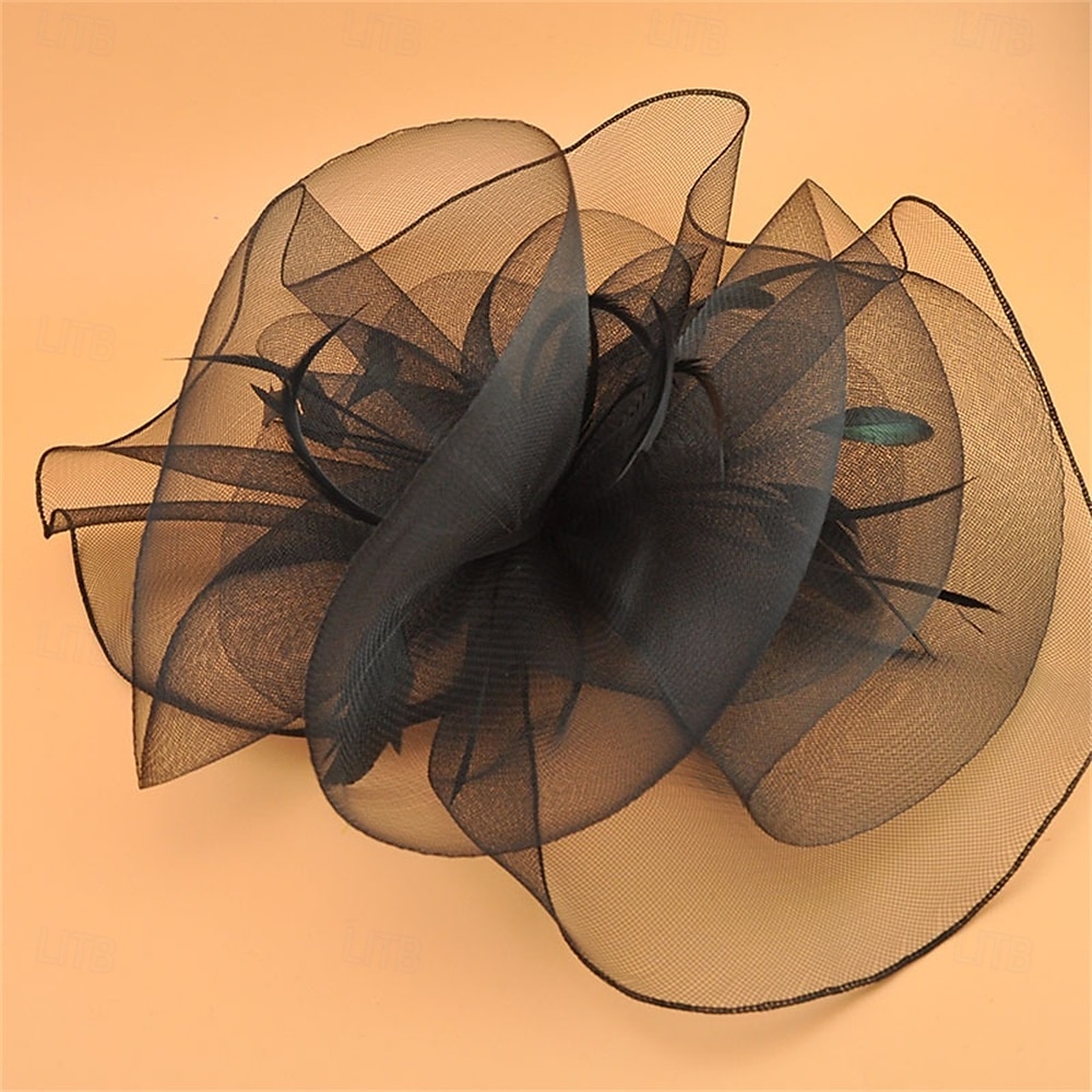 Coiffe Tulle Chapeau Fedora Mariage Anniversaire Soirée Fête du thé Course de Chevaux Élégant ancien Mignon Avec Plume Casque Couvre-chef de 2025 ? $19.99 –P6