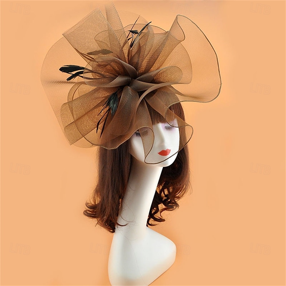 Coiffe Tulle Chapeau Fedora Mariage Anniversaire Soirée Fête du thé Course de Chevaux Élégant ancien Mignon Avec Plume Casque Couvre-chef de 2025 ? $19.99 –P22