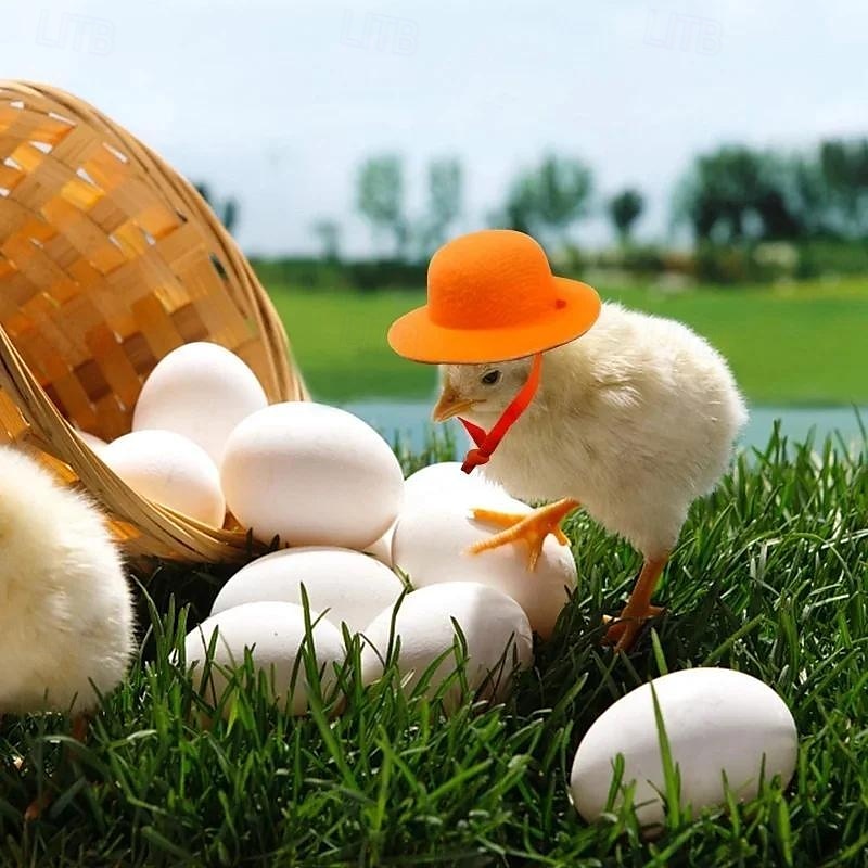 Cappello da pollo in fibra di poliestere resistente con chiusura a coulisse per la protezione del pollame, adatto a varie razze di polli del 2025 a $5.99 –P1