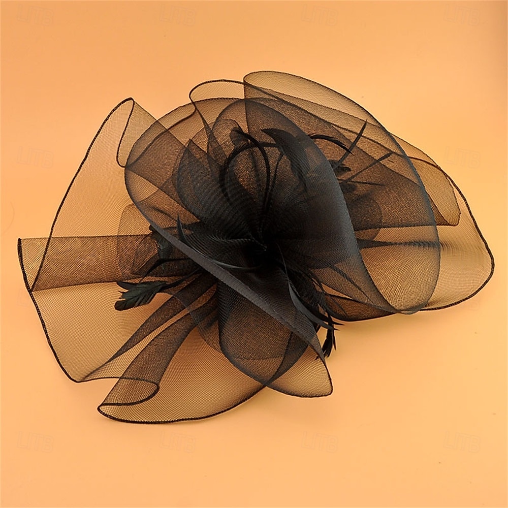 Coiffe Tulle Chapeau Fedora Mariage Anniversaire Soirée Fête du thé Course de Chevaux Élégant ancien Mignon Avec Plume Casque Couvre-chef de 2025 ? $19.99 –P5