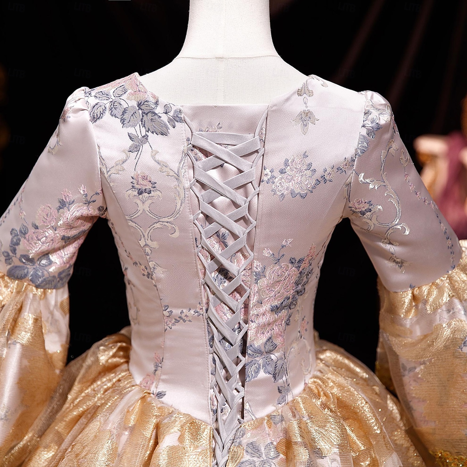 Rococo Revival Ball Dress 18th Century European Elegance Meets Early American Style 2025 - $310.09 –P9