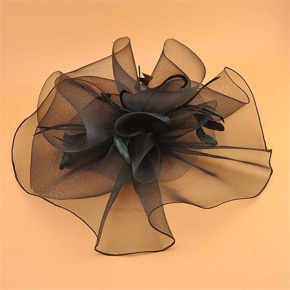 Coiffe Tulle Chapeau Fedora Mariage Anniversaire Soirée Fête du thé Course de Chevaux Élégant ancien Mignon Avec Plume Casque Couvre-chef de 2025 ? $19.99 –P4