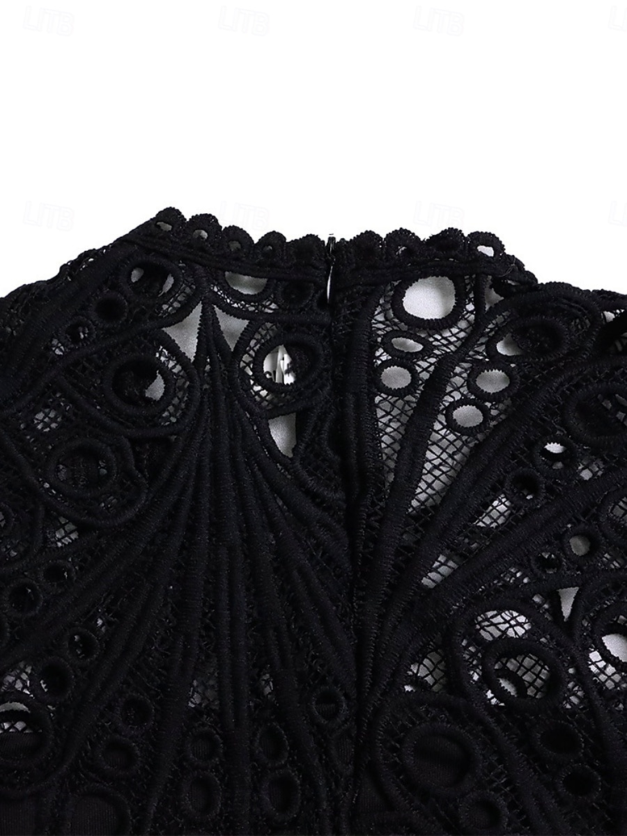 Femmes Robe Midi Robe trapèze Robe Plissée Fête cocktail Robes semi-formelles Soirée Coupe régulière Couleur Unie manche longue Col montant Noir Blanche Rose Claire Été Printemps de 2025 ? $51.99 –P15