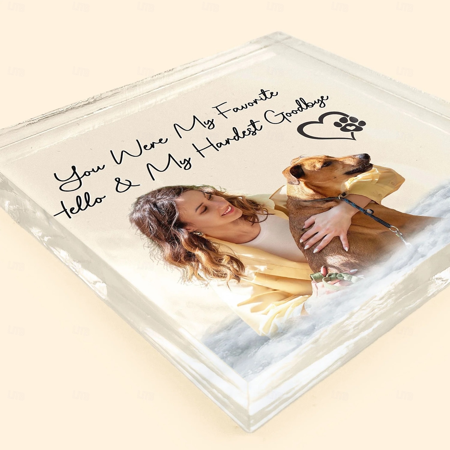 Plaque photo commémorative personnalisée en acrylique pour animaux de compagnie, cadeaux de condoléances personnalisés pour la perte d'êtres chers, décoration commémorative pour chien de compagnie de 2025 ? $7.99 –P4