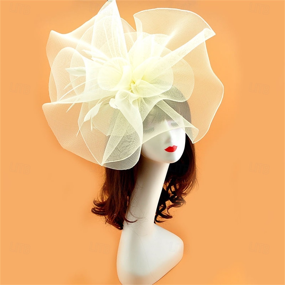 Coiffe Tulle Chapeau Fedora Mariage Anniversaire Soirée Fête du thé Course de Chevaux Élégant ancien Mignon Avec Plume Casque Couvre-chef de 2025 ? $19.99 –P15