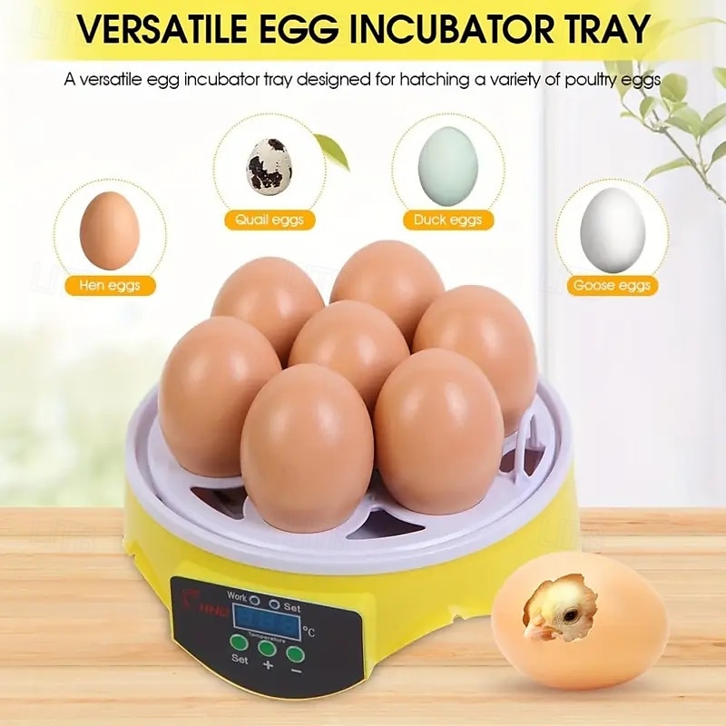 Small Family Use Egg Incubator Automatic Temperature Control Intelligent Incubator 7-egg Capacity Suitable for Chickens Ducks Turtles Birds 2025 - $47.99 –P2